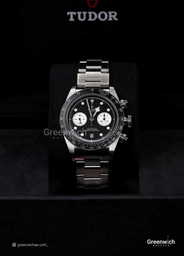 Tudor 2