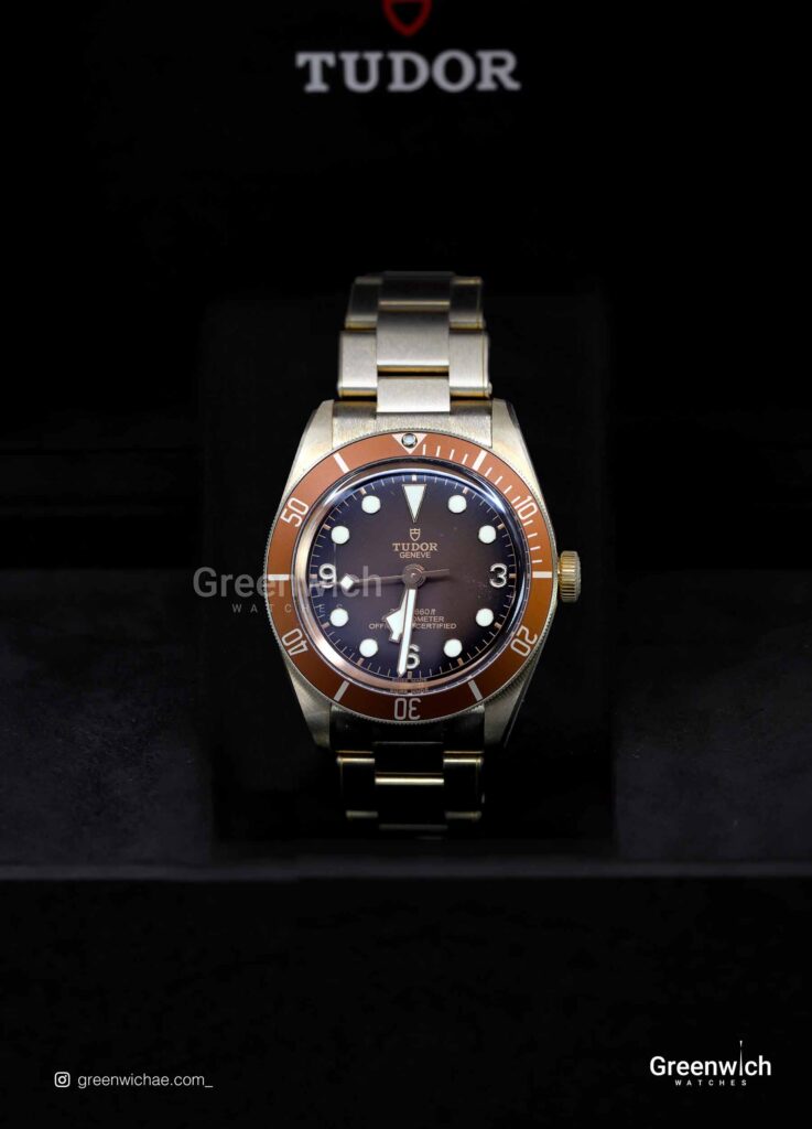Tudor 4