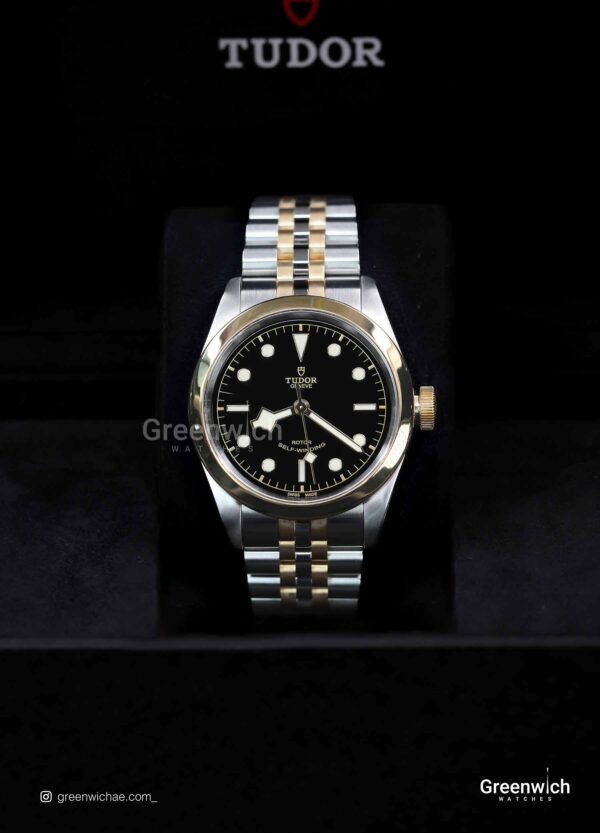 Tudor 5