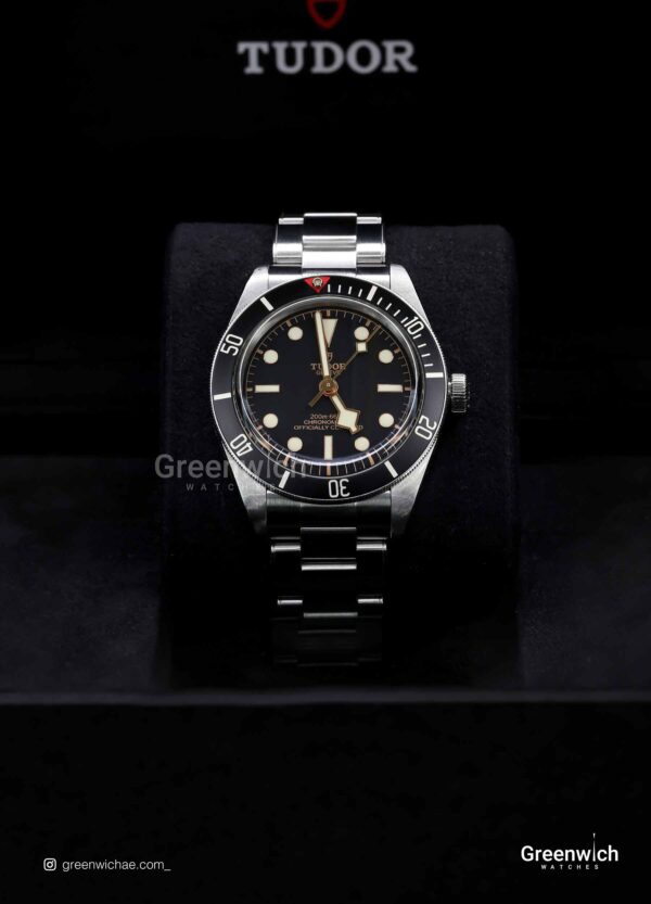 Tudor 6