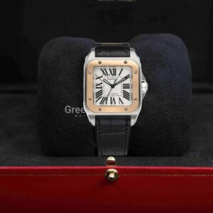 Cartier Santos 100 - 38