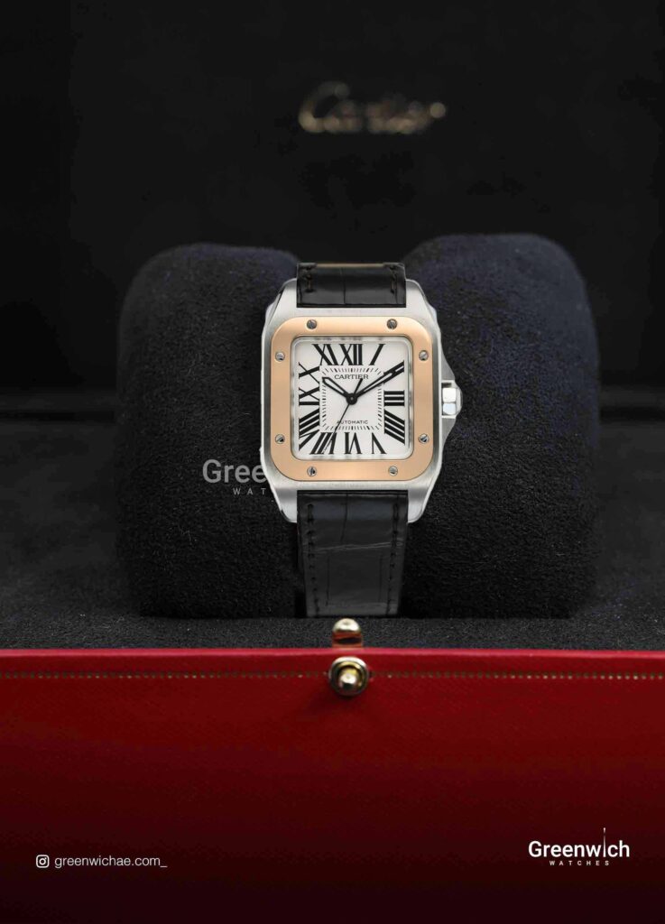Cartier Santos 100 - 38